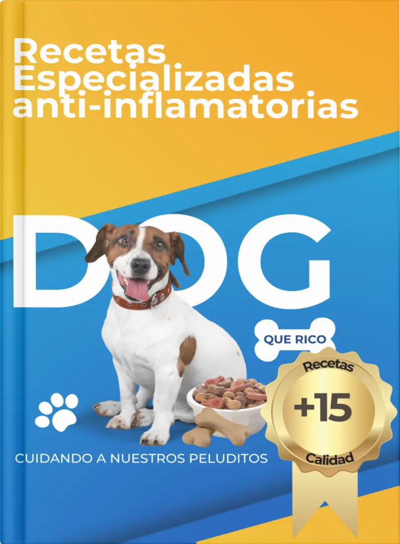 Recetas Anti-inflamatorias